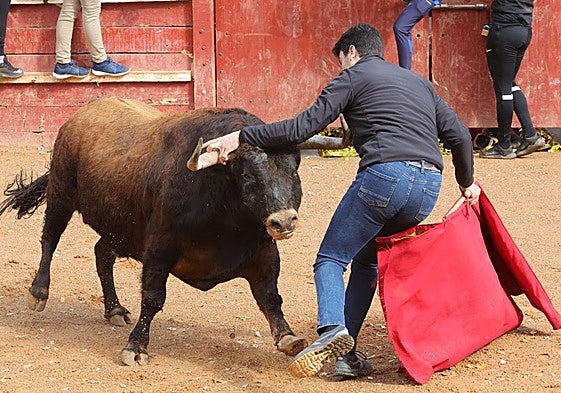 Denuncian la organización de una novillada con acceso rebajado para menores en Villoria