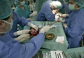 Operación de un trasplante de corazón en el Hospital Clínico Universitario de Valladolid.