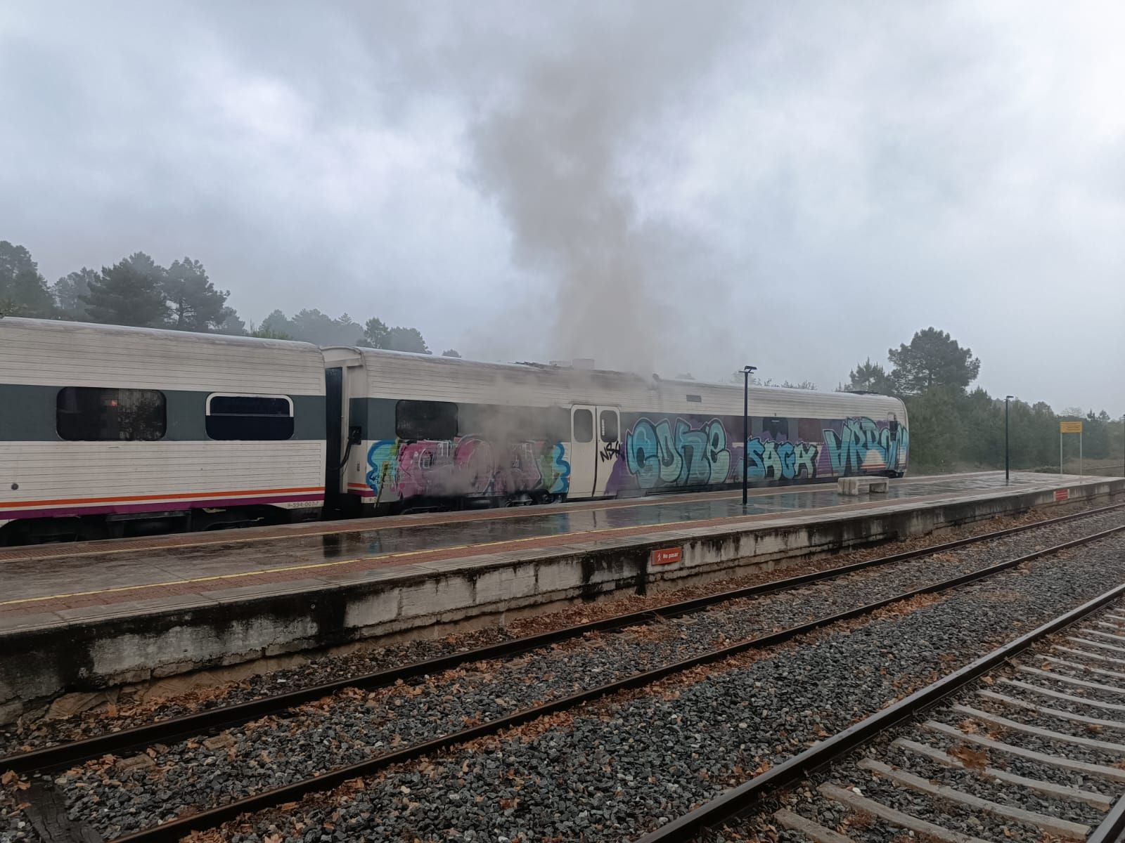 El incendio de un tren con pasajeros a bordo, en imágenes