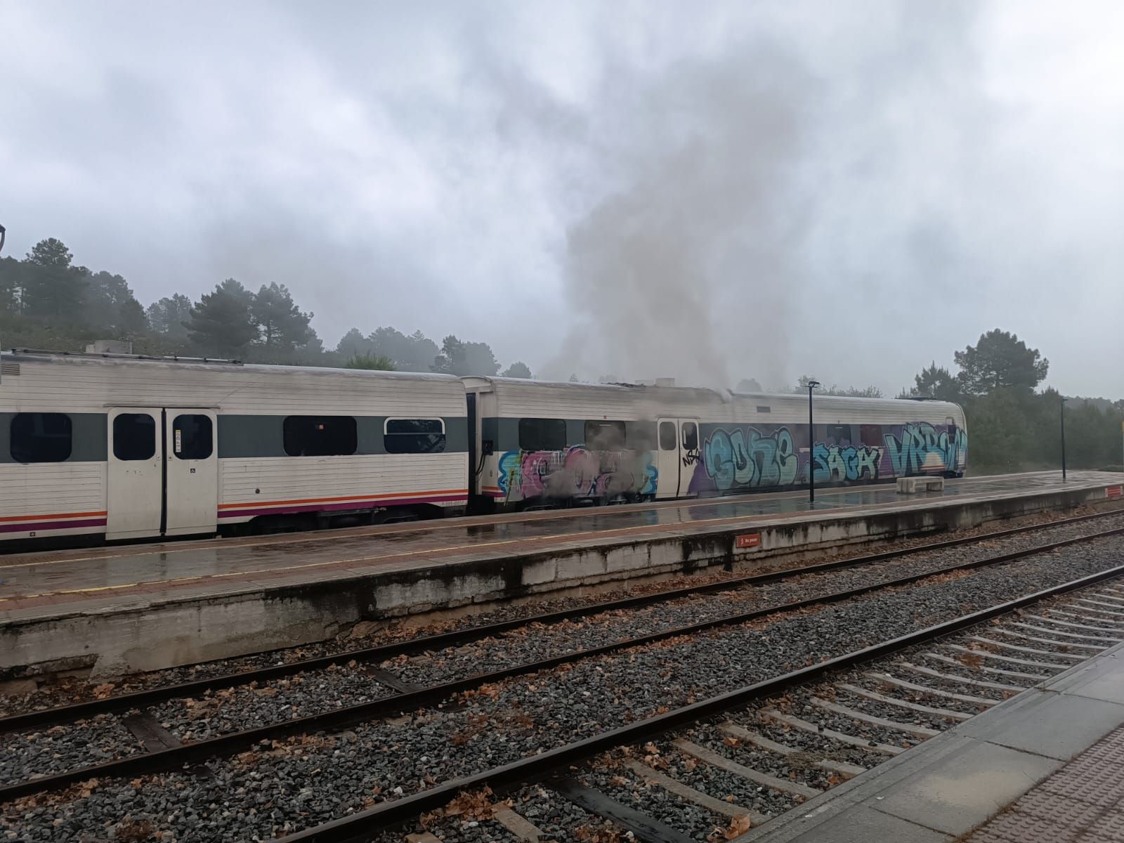 El incendio de un tren con pasajeros a bordo, en imágenes