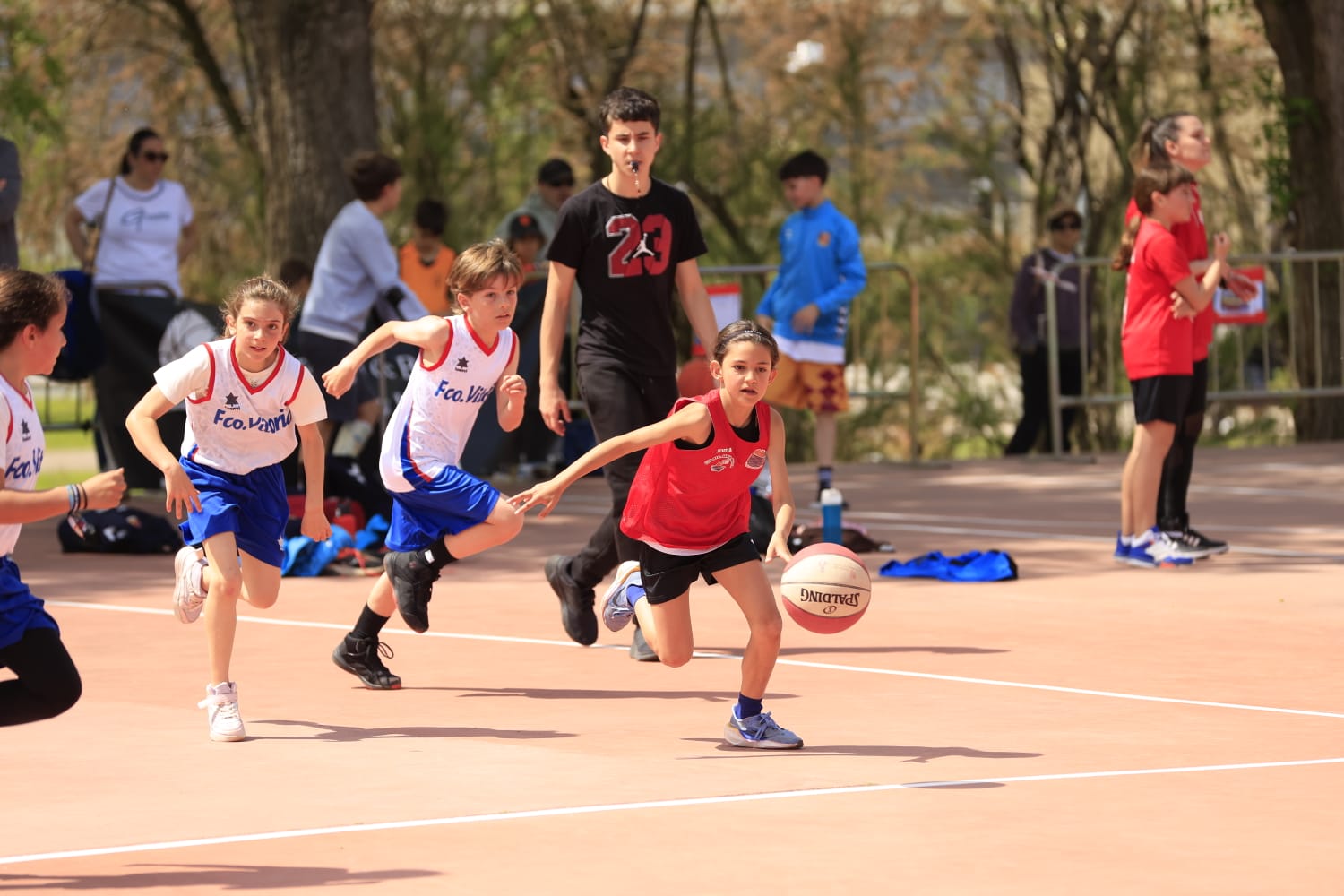 Día del Minibasket en Salamanca: once horas entre canastas