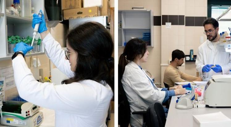 El GIR Ingeniería Metabólica trabajando en su laboratorio del Edificio Departamental de la USAL.
