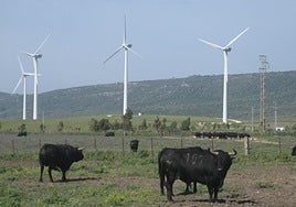 Parque eólico en una imagen de archivo.