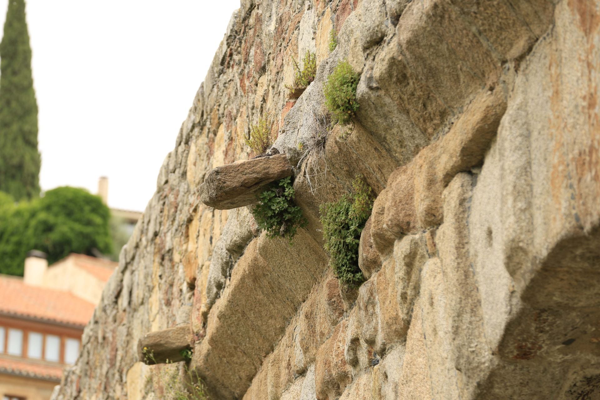 Los daños del Puente Romano de Salamanca que sobrevive a 2.000 años sobre el Tormes