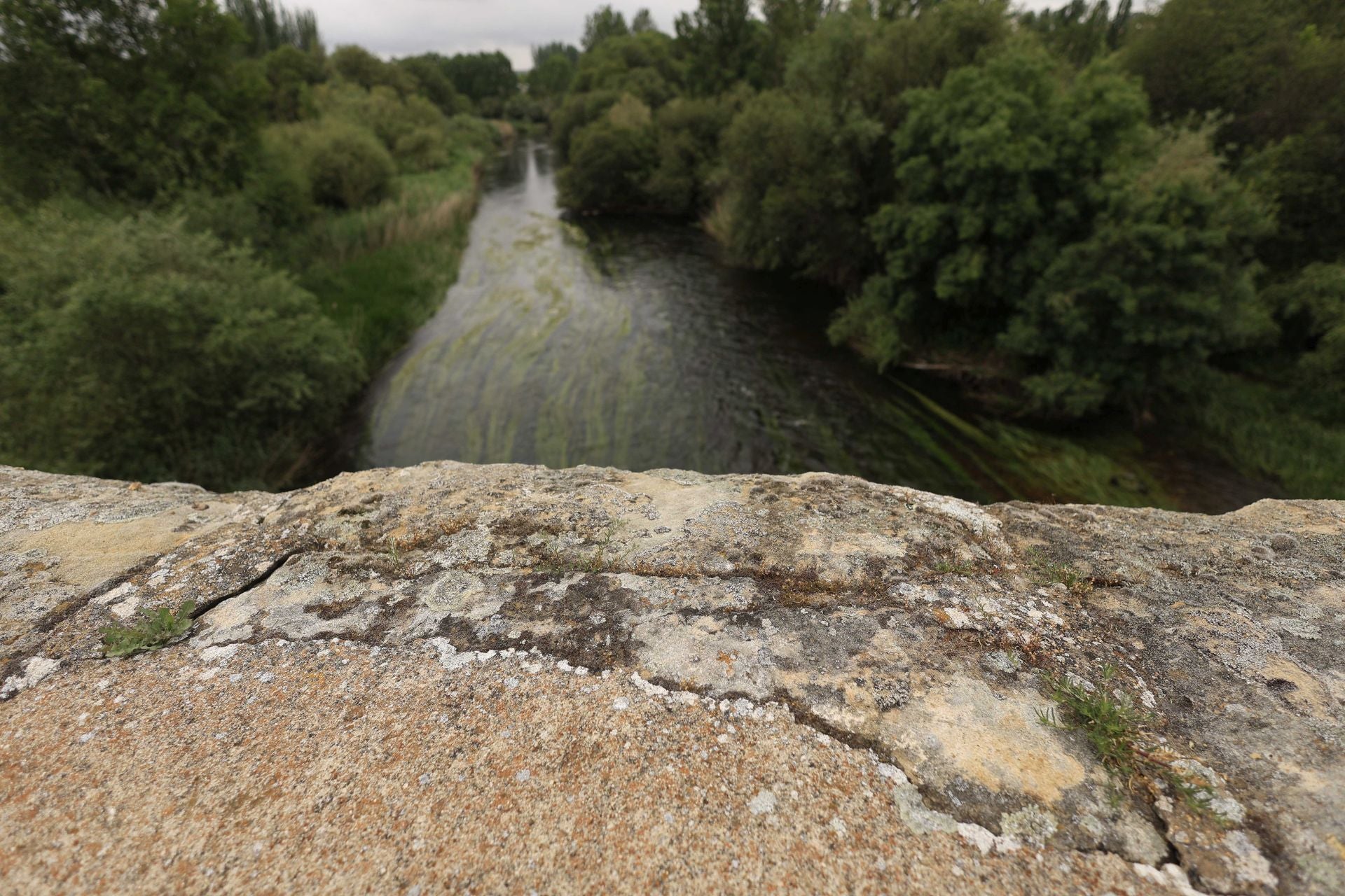 Los daños del Puente Romano de Salamanca que sobrevive a 2.000 años sobre el Tormes