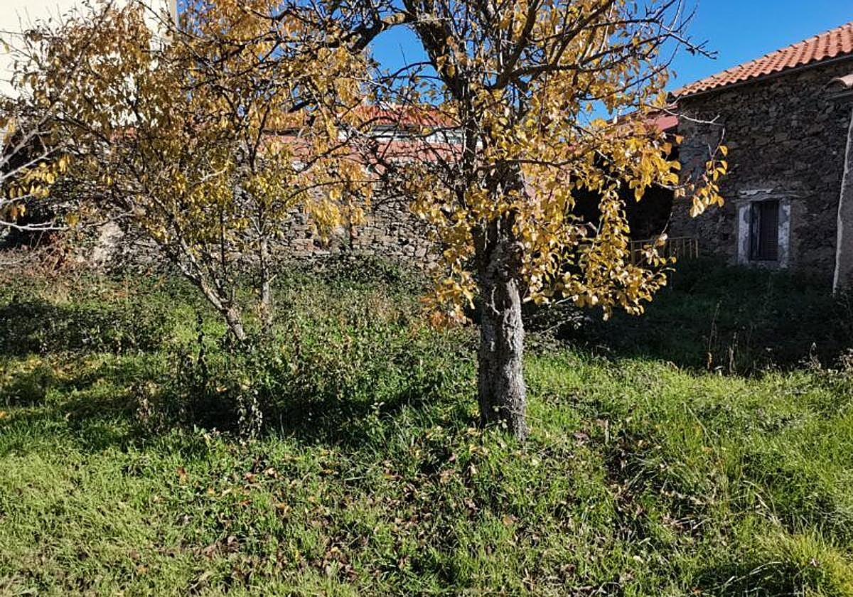 Terreno y casa en Escurial de la Sierra.