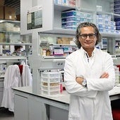Juan Pedro Bolaños, catedrático de Bioquímica y Biología Molecular de la Universidad de Salamanca en su laboratorio del IBFG (USAL-CSIC).