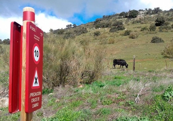 Un tramo de la vía verde a su paso por Salamanca.