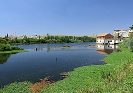 El río, a su paso por Alba de Tormes.