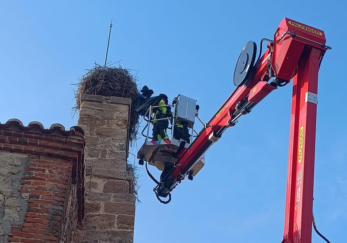Imagen principal - La valiosa iglesia de Zamora amenazada por los nidos de cigüeña que moviliza a los bomberos