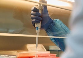 El CIC de Salamanca lidera un estudio sobre una nueva terapia dirigida contra el cáncer de páncreas