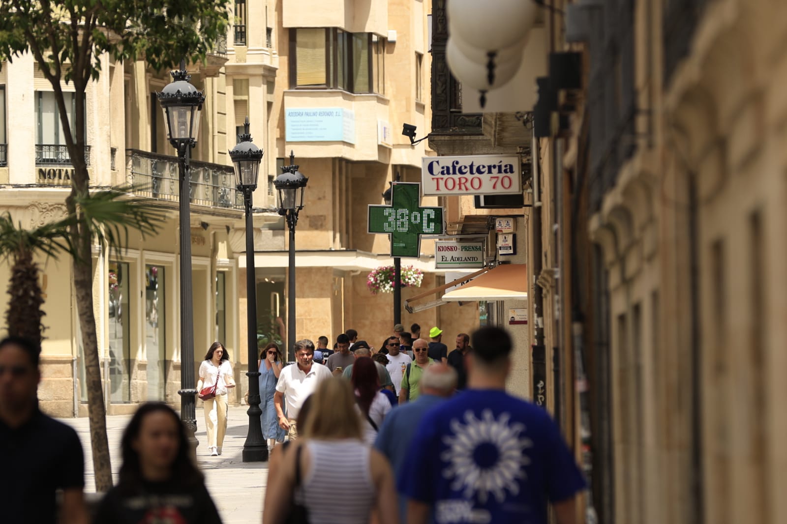Las secuelas de la ola de calor en Salamanca, en imágenes