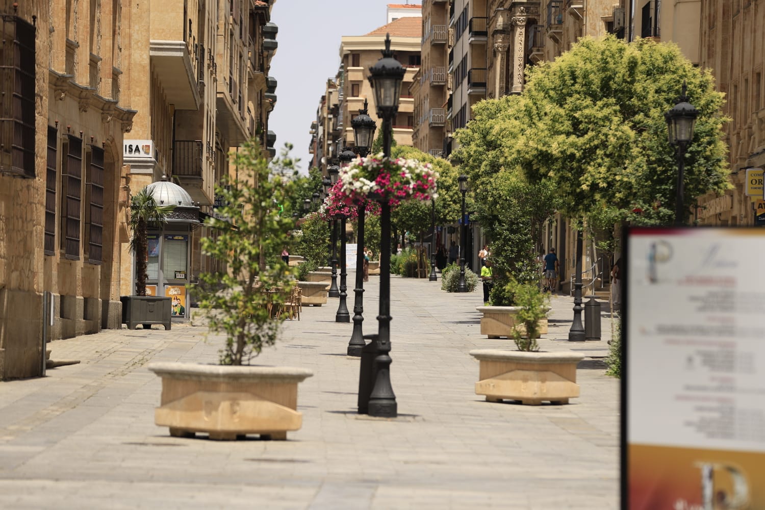 Las secuelas de la ola de calor en Salamanca, en imágenes
