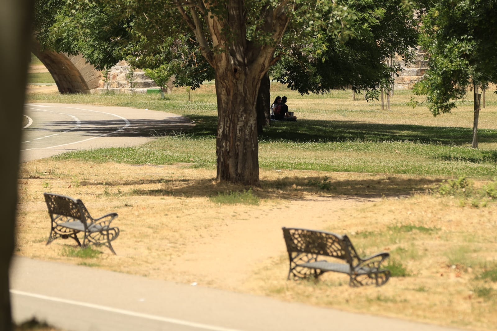 Las secuelas de la ola de calor en Salamanca, en imágenes
