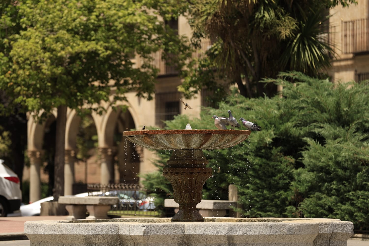 Las secuelas de la ola de calor en Salamanca, en imágenes