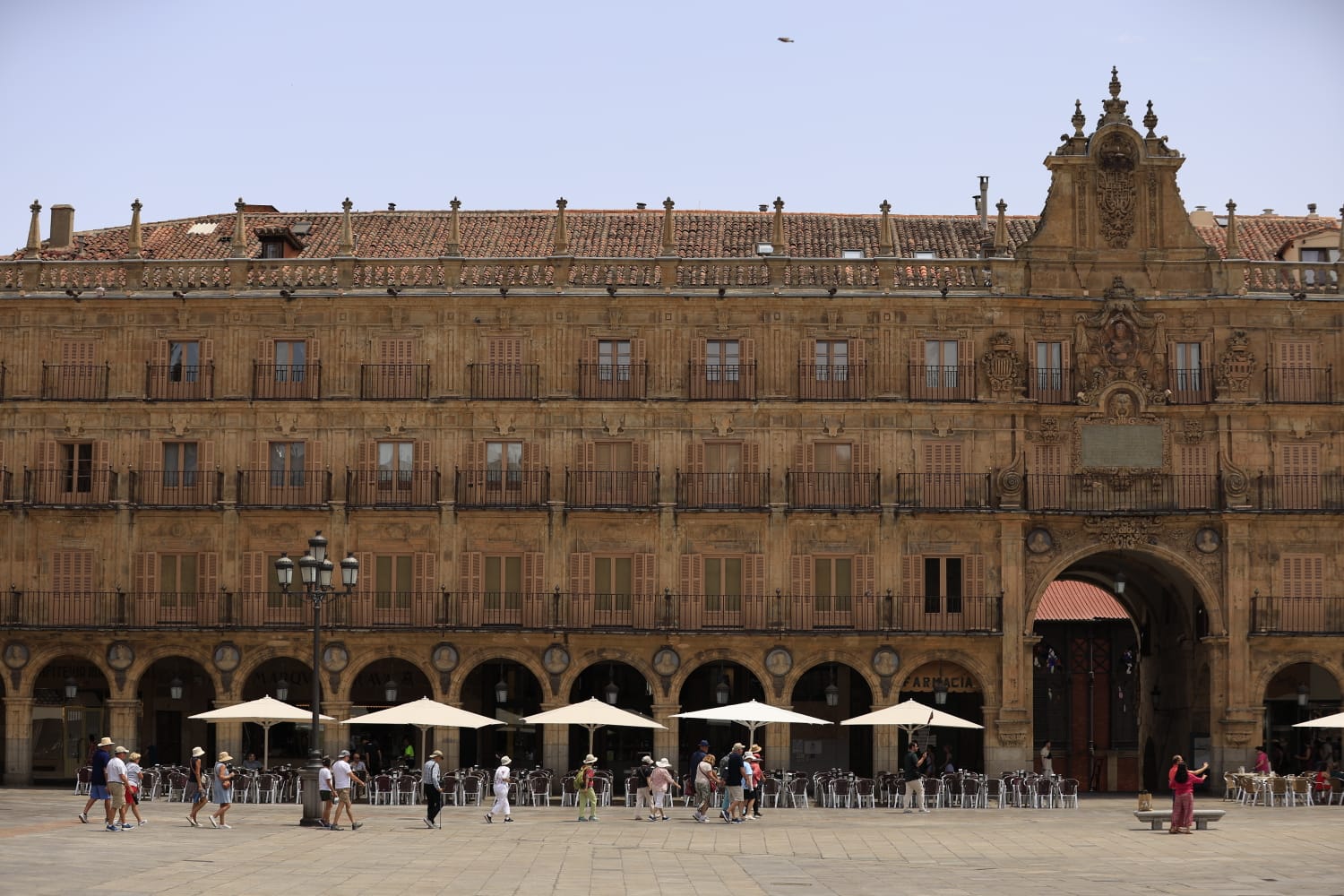 Las secuelas de la ola de calor en Salamanca, en imágenes