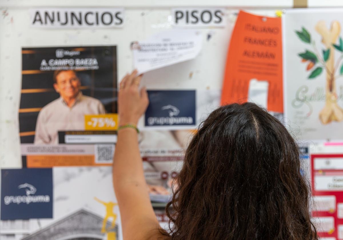 Joven mirando varios carteles de pisos en un tablón de anuncios.