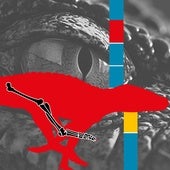 El valioso fémur del cocodrilo ibérico que campaba por Salamanca y Zamora hace 40 millones de años