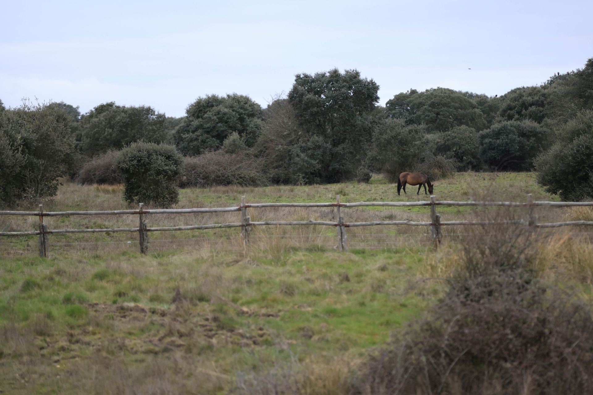 La reserva biológica refugio de especies amenazas en Salamanca