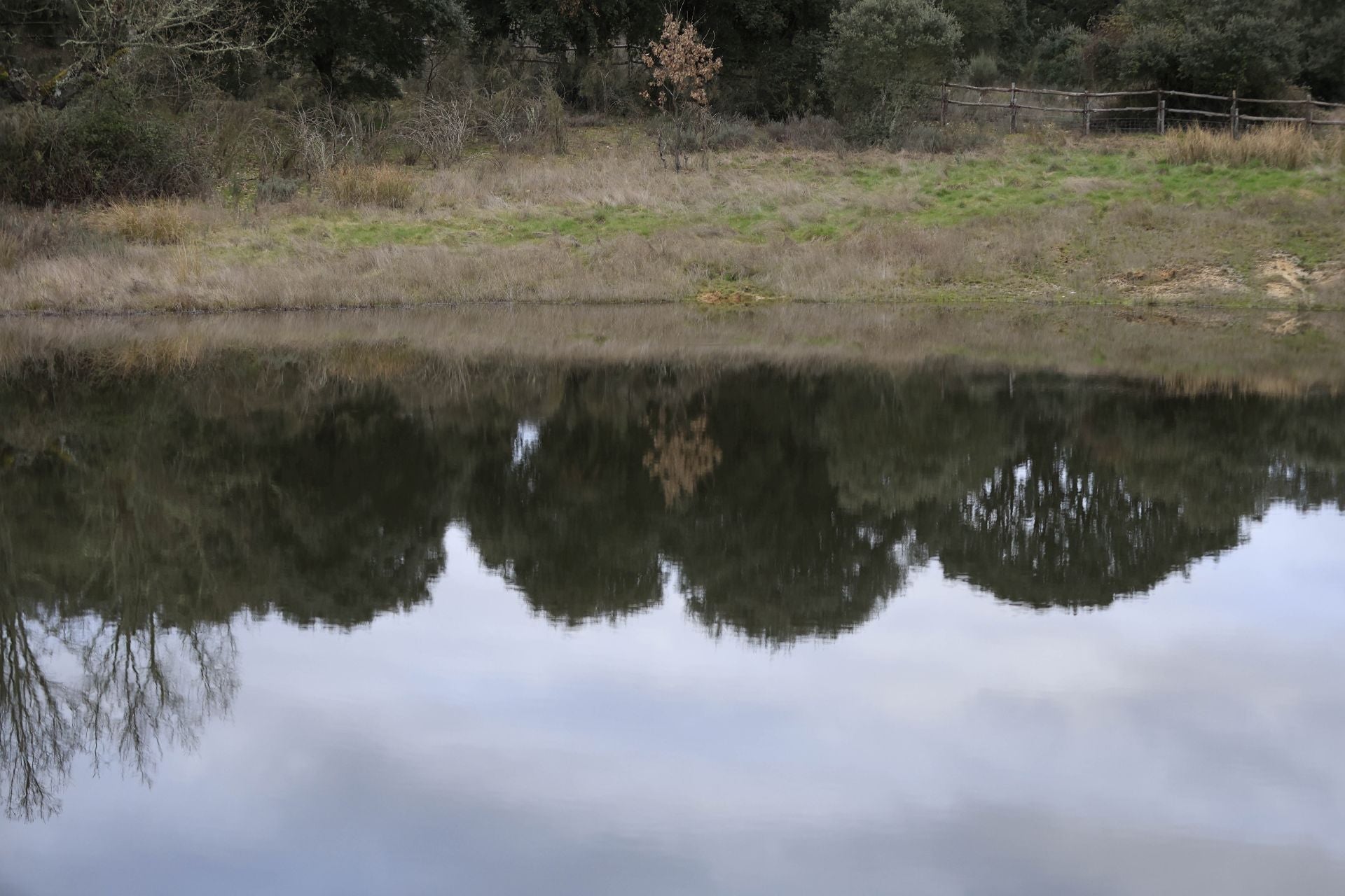 La reserva biológica refugio de especies amenazas en Salamanca