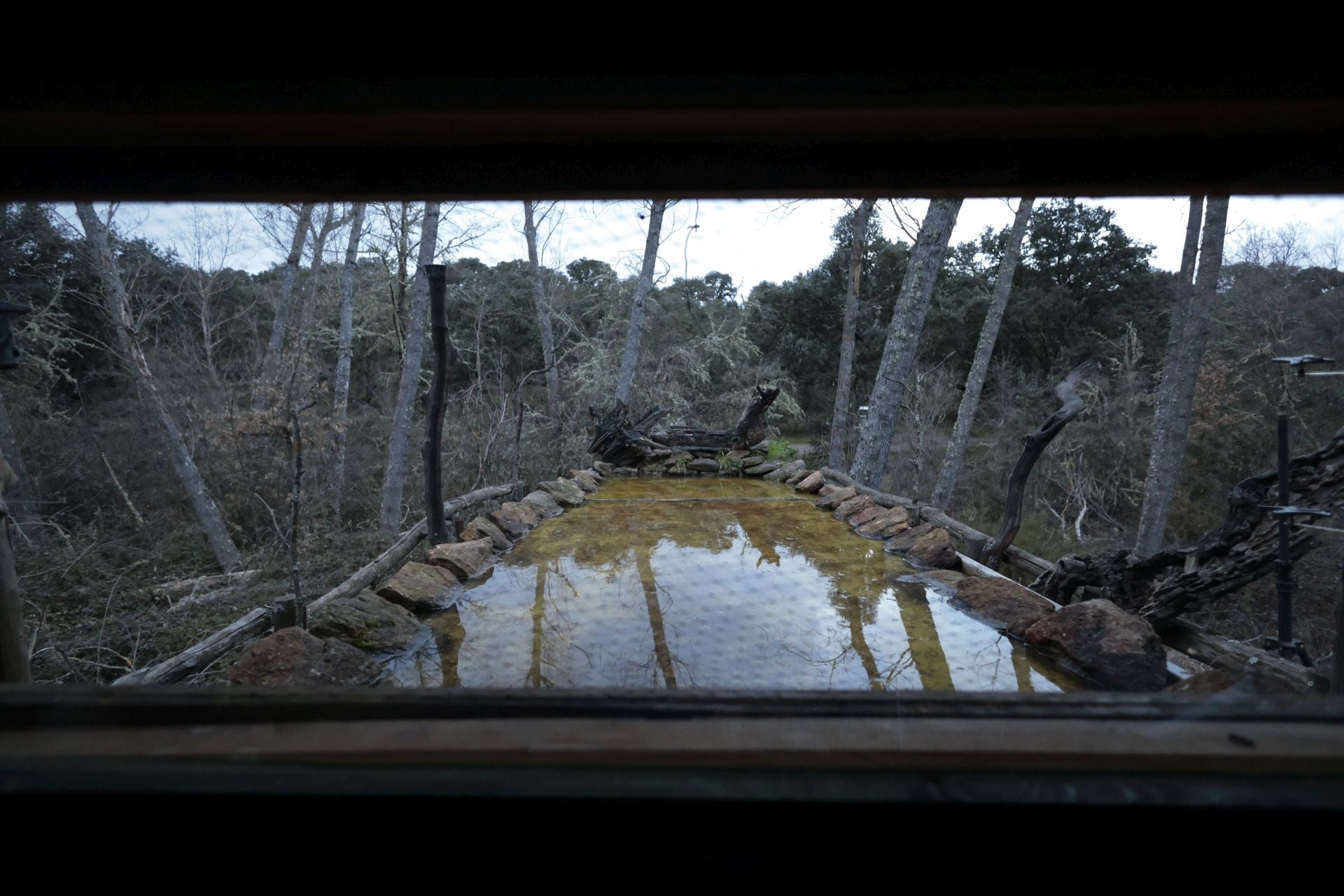 La reserva biológica refugio de especies amenazas en Salamanca