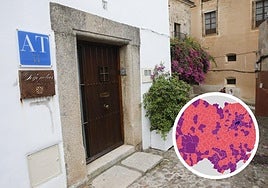 Todas las plazas disponibles en apartamentos turísticos este verano en Salamanca