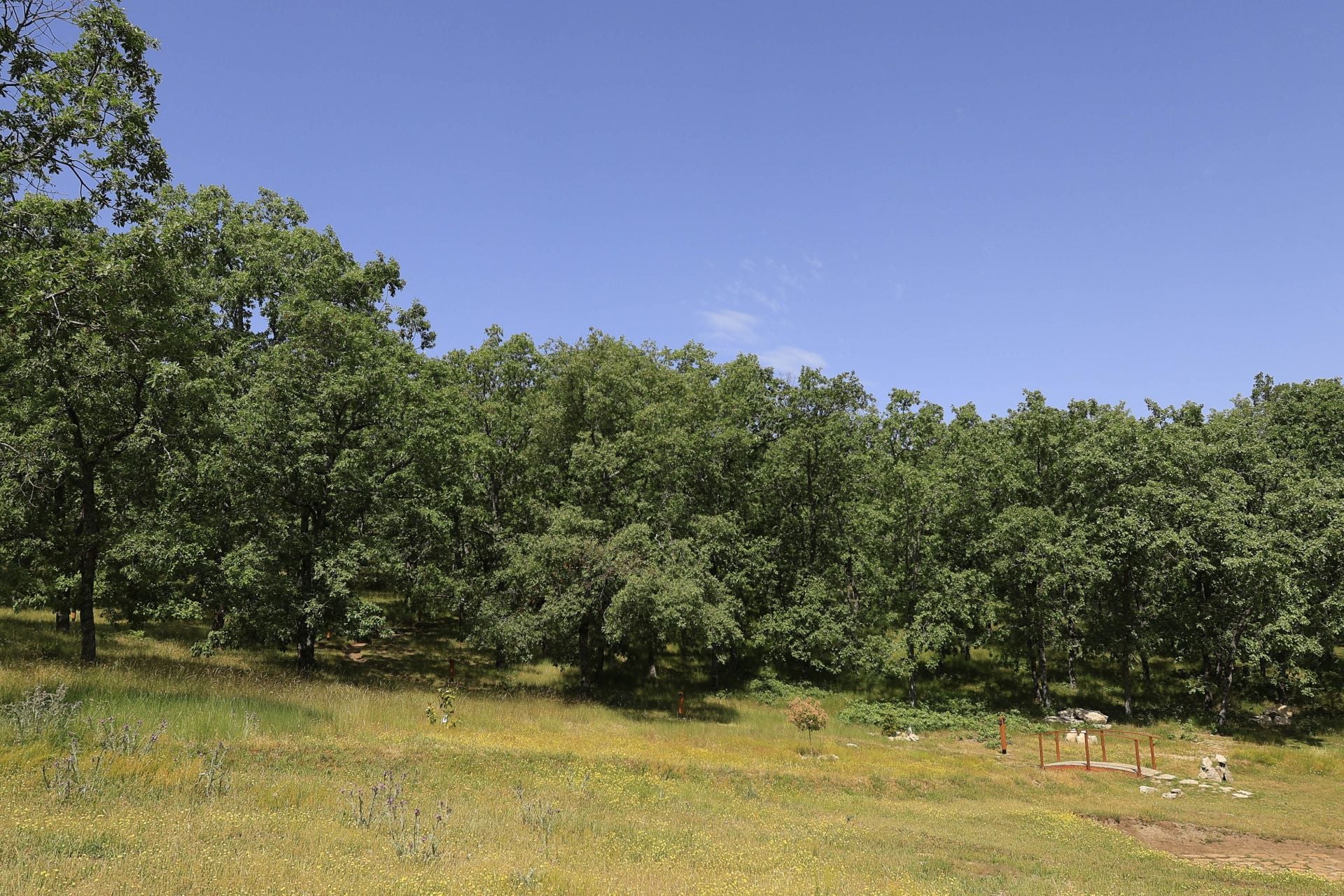 El glamping de Salamanca como propuesta de turismo sostenible
