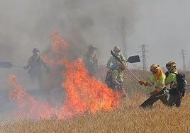 Bomberos actúan contra el fuego en una imagen de archivo.