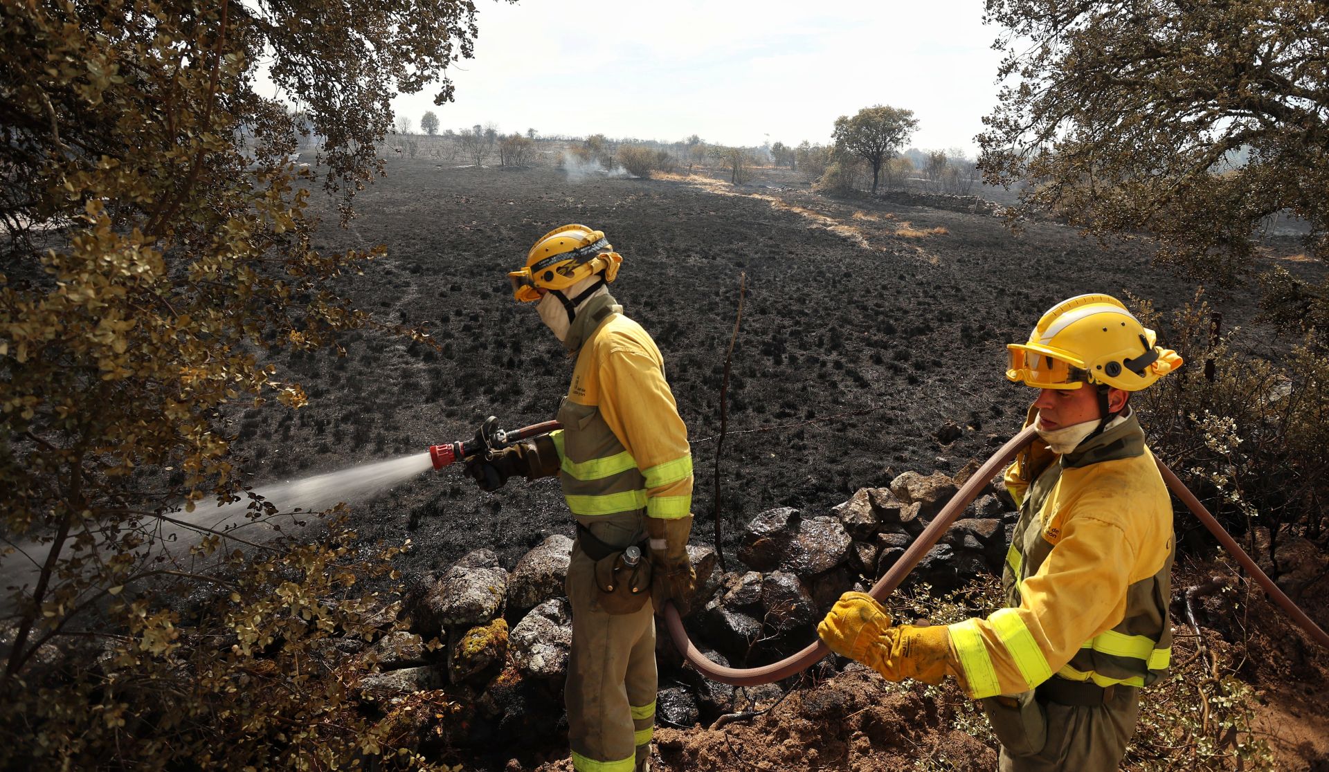 En imágenes, el incendio de Castillejo de Martín Viejo
