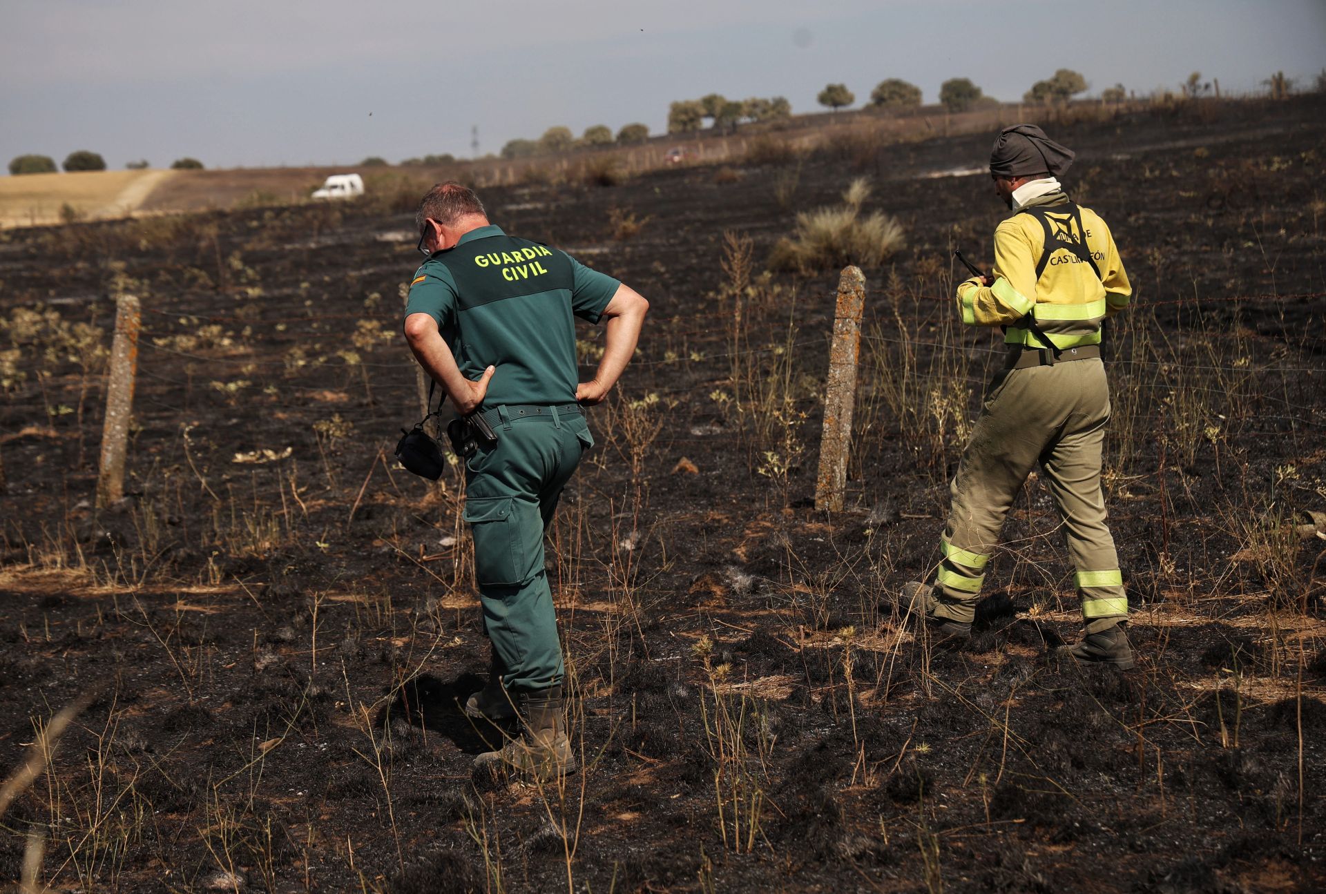 En imágenes, el incendio de Castillejo de Martín Viejo