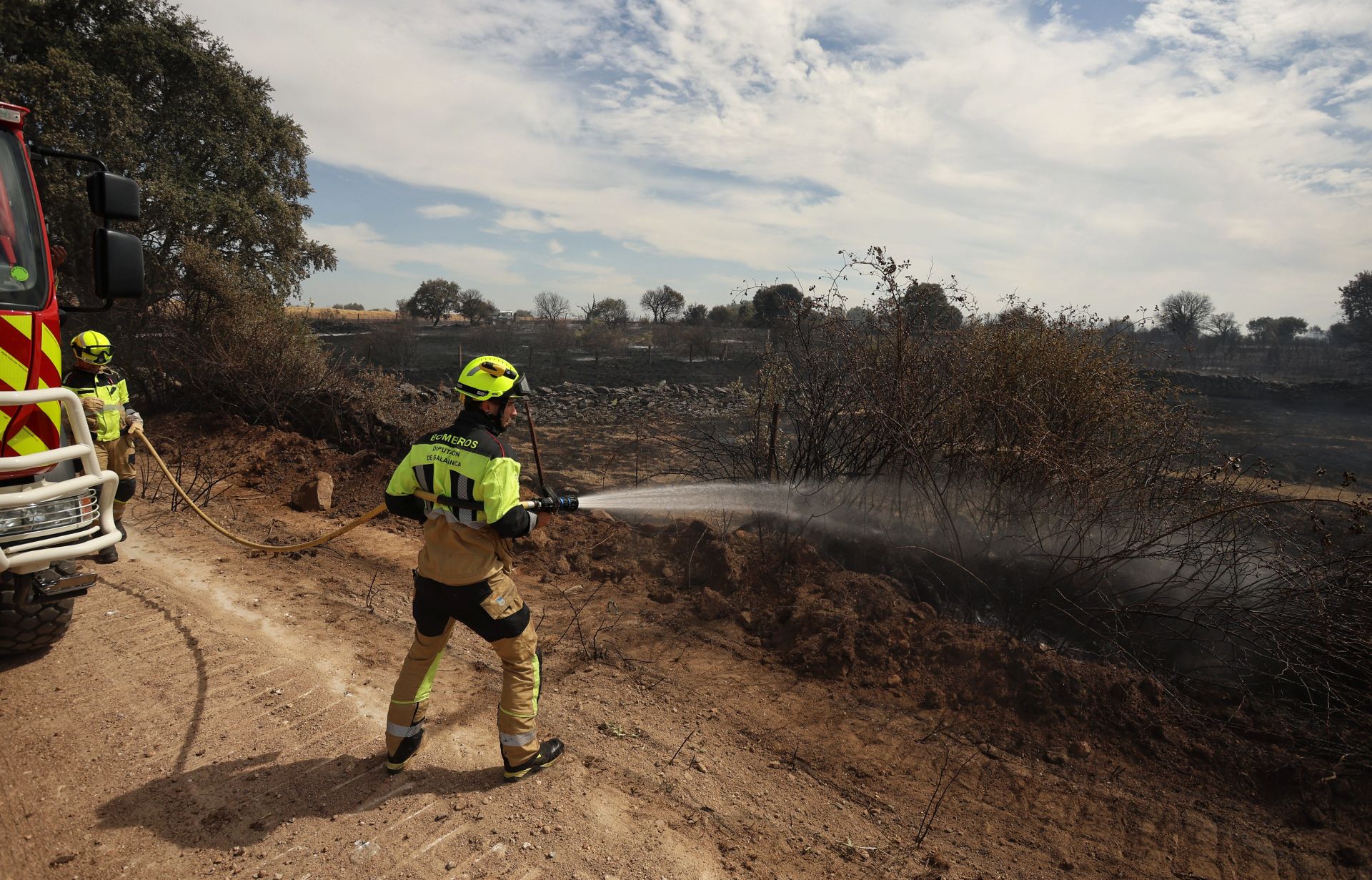 En imágenes, el incendio de Castillejo de Martín Viejo
