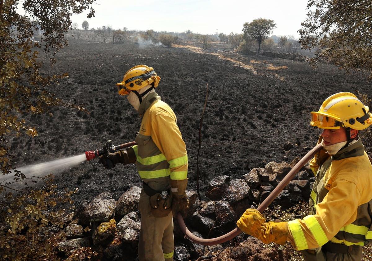 Dos bomberos se afanan en tratar de apagar el incendio de Castillejo Martín Viejo.