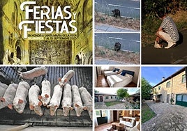 Las noticias imprescindibles de Salamanca este viernes 25 de julio