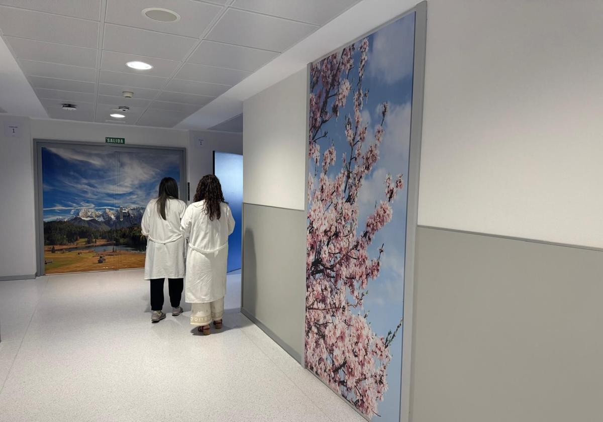 Humanización en la planta de hospitalización de Psiquiatría.