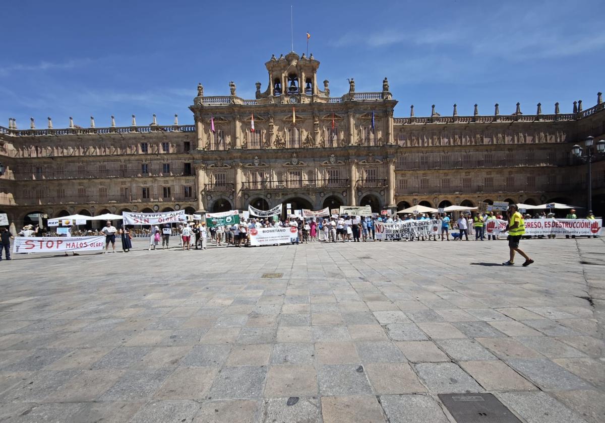 Concentración en la Plaza Mayor de Salamanca.