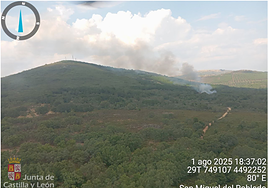 Incendio en San Miguel del Robledo