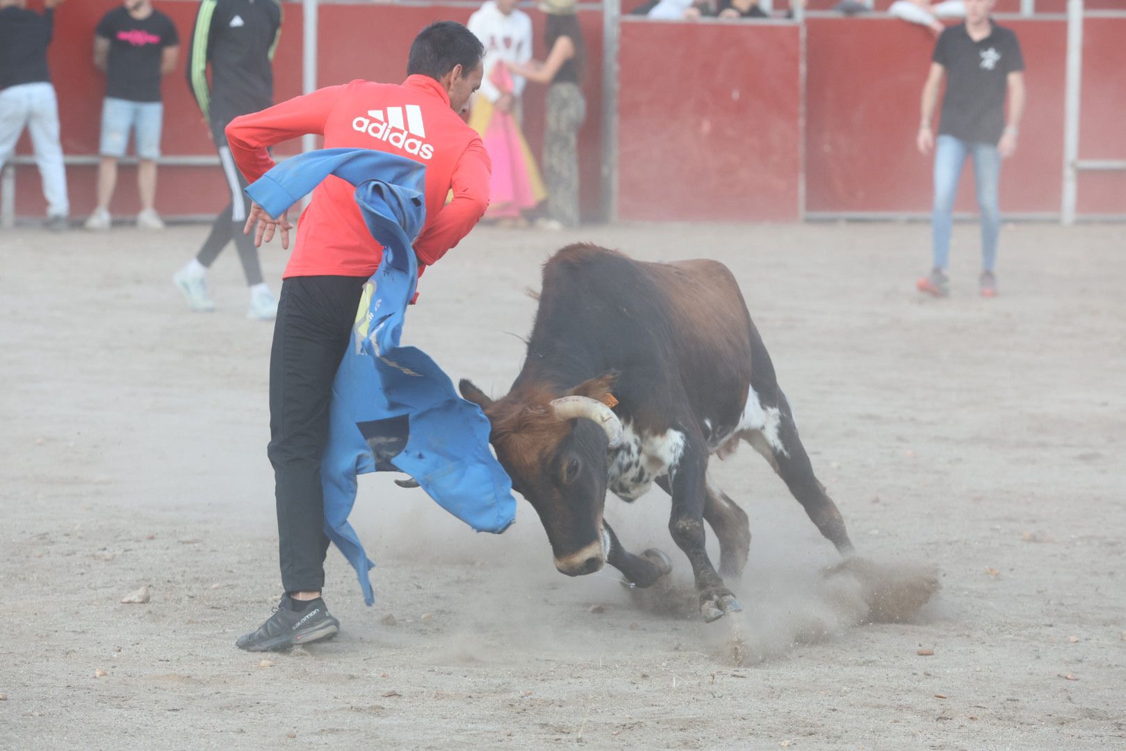 El Toro del Aguardiente en Santa Marta, en imágenes
