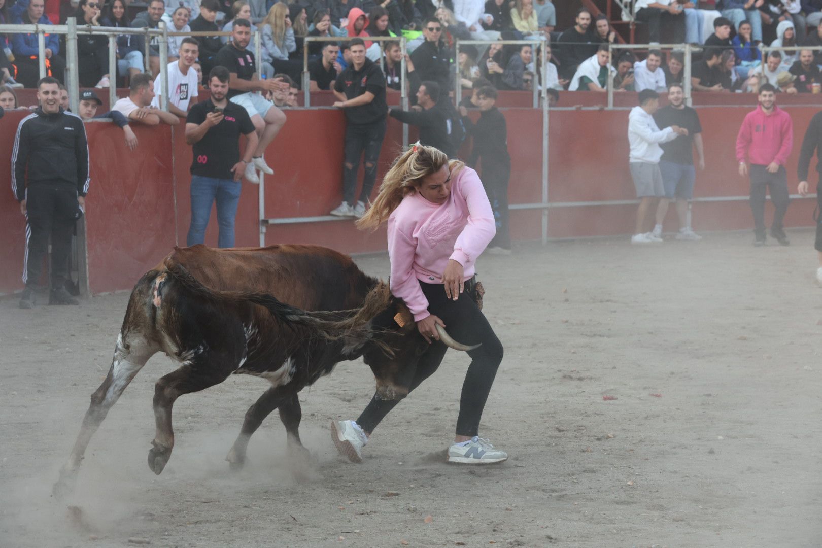 El Toro del Aguardiente en Santa Marta, en imágenes