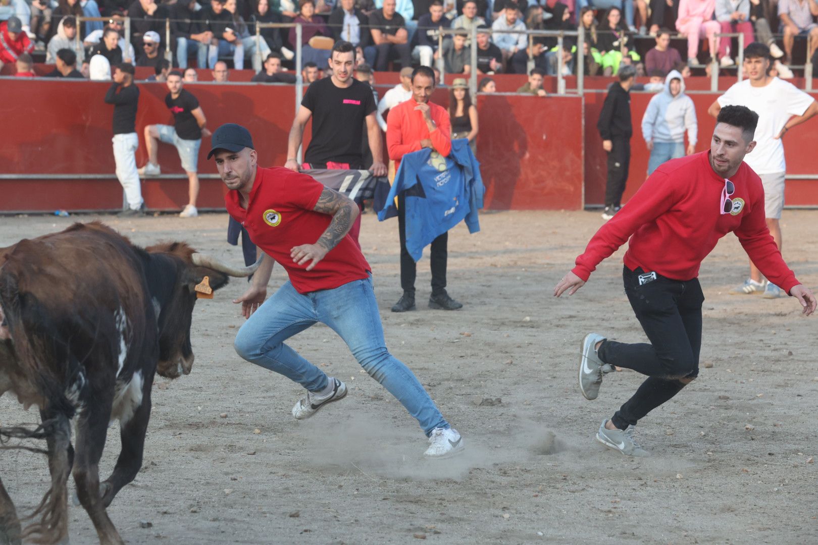 El Toro del Aguardiente en Santa Marta, en imágenes