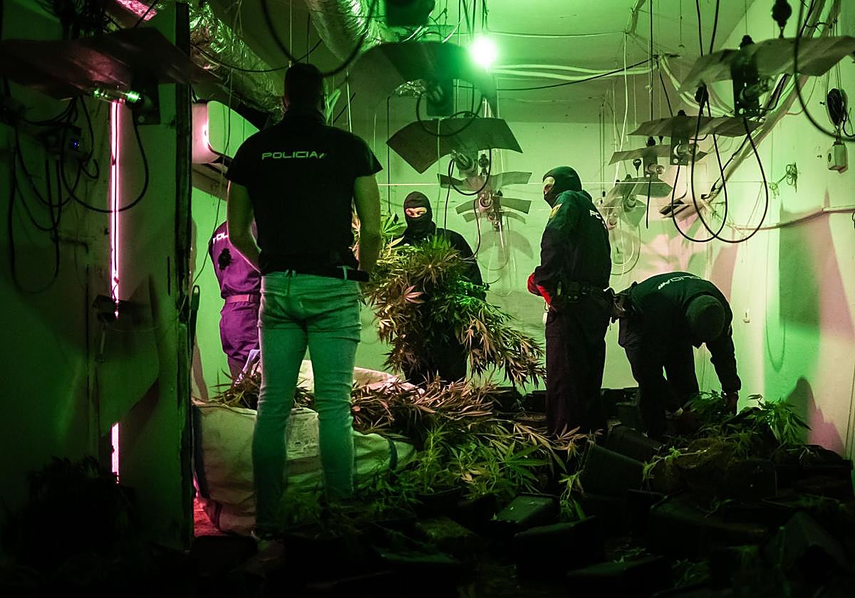 Imagen de archivo de agentes de la Policía Nacional en una redada.