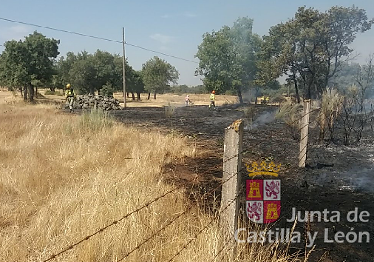 Superficie quemada en Peralejos de Arriba.