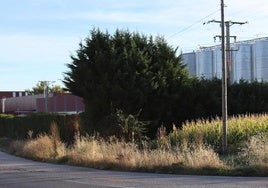 Vista general de una empresa de transformación de subproductos animales en el alfoz de Salamanca.