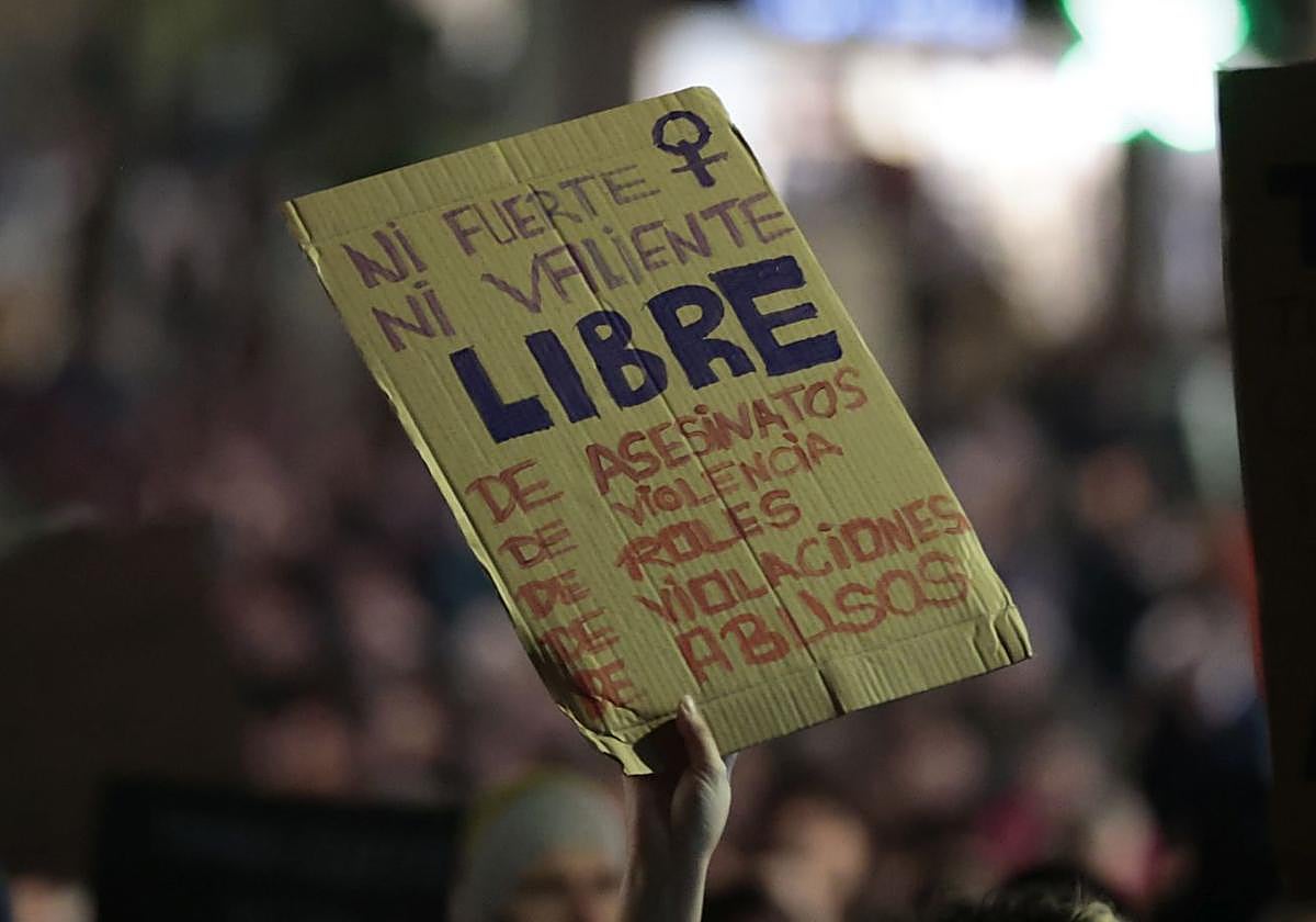 Cartel en la manifestación del 25N en Salamanca.