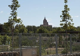 Huertos urbanos de Salamanca en una imagen de archivo