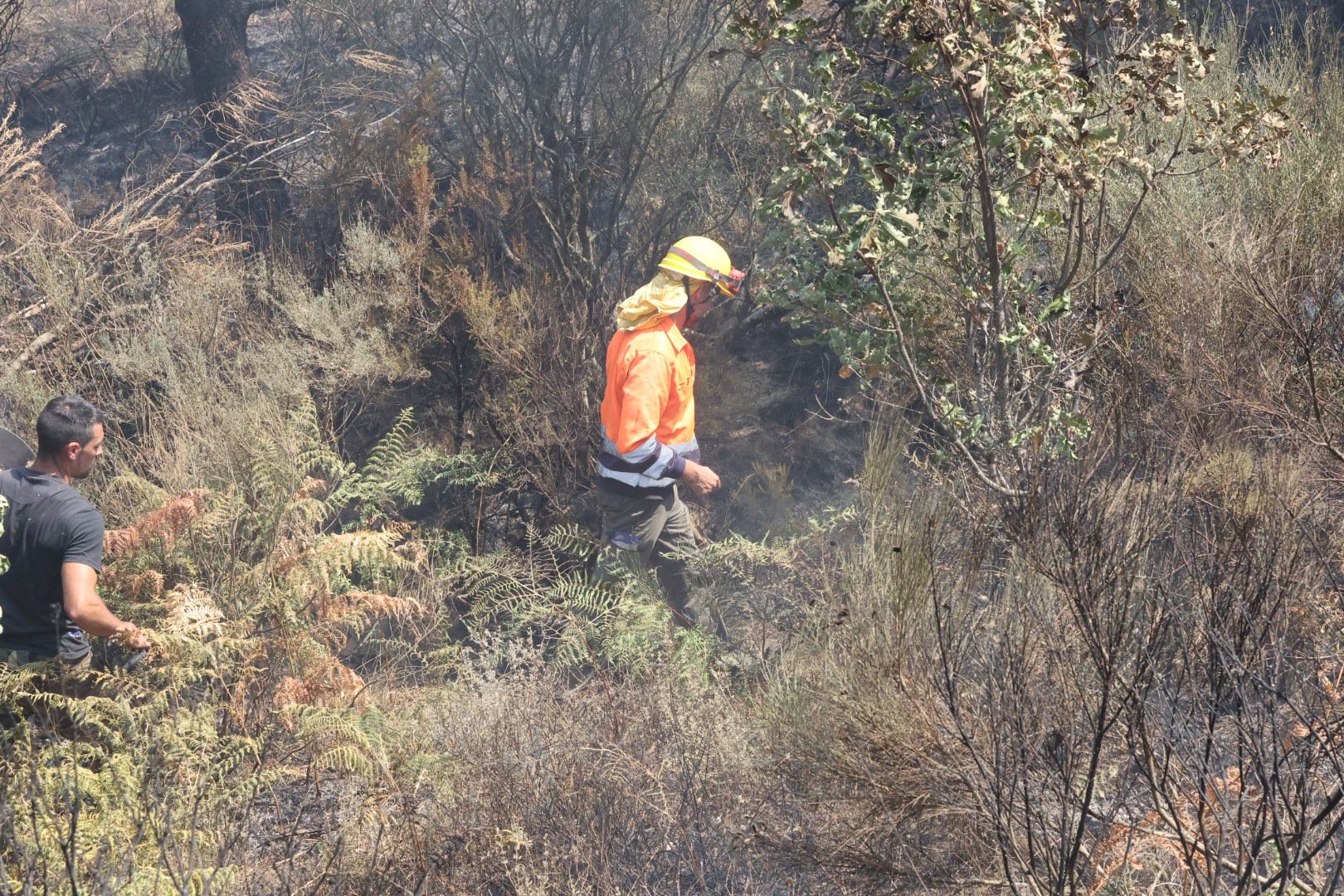 Las imágenes del incendio en La Alberca