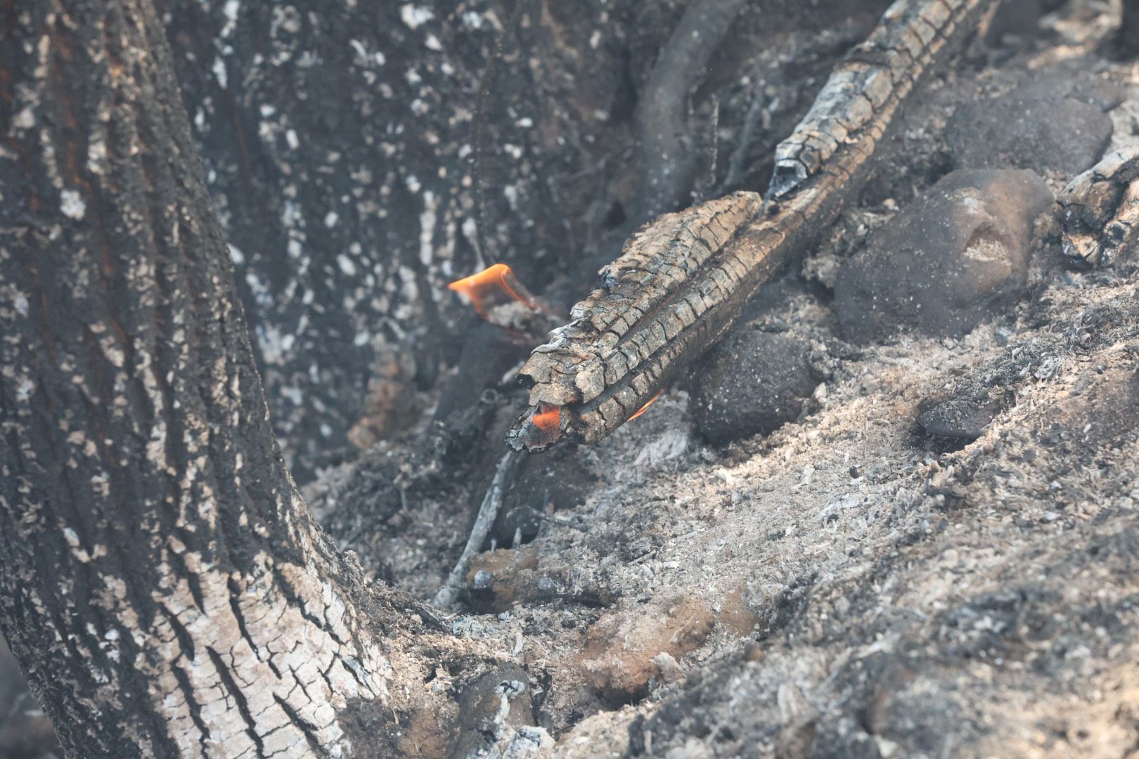 Las imágenes del incendio en La Alberca