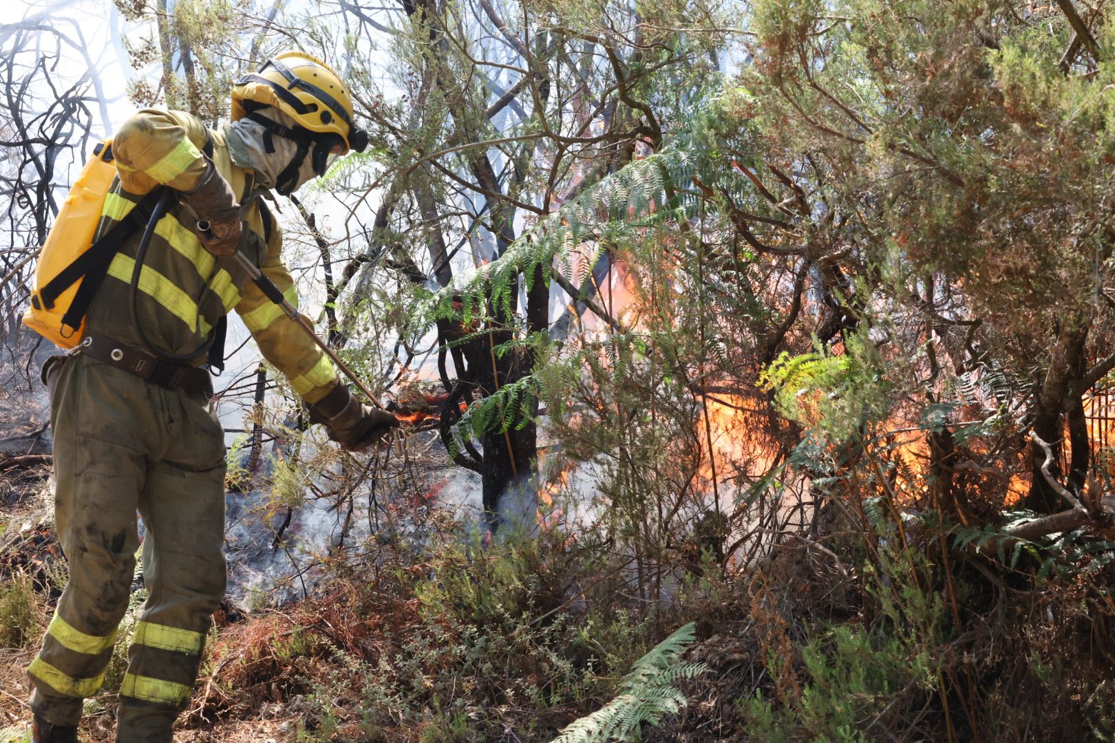 Las imágenes del incendio en La Alberca