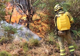 Así te hemos contado cómo han evolucionado los dos incendios de Salamanca en Nivel 2