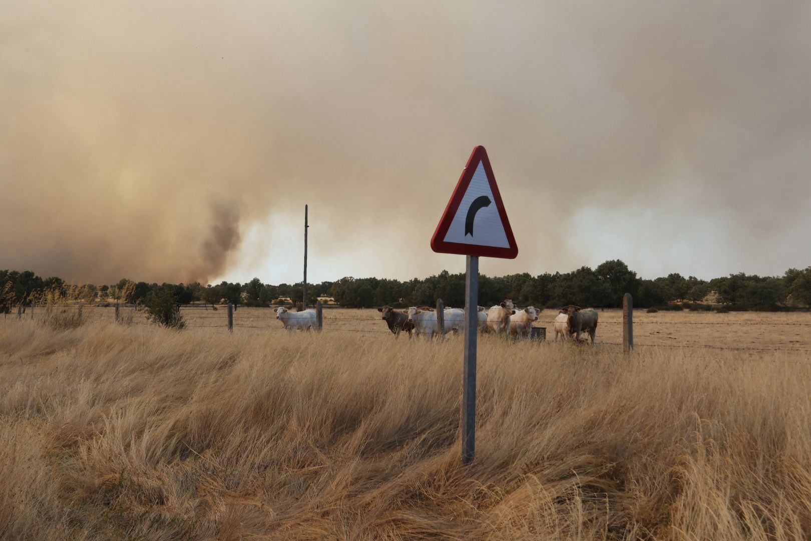 El incendio de Cipérez, en imágenes