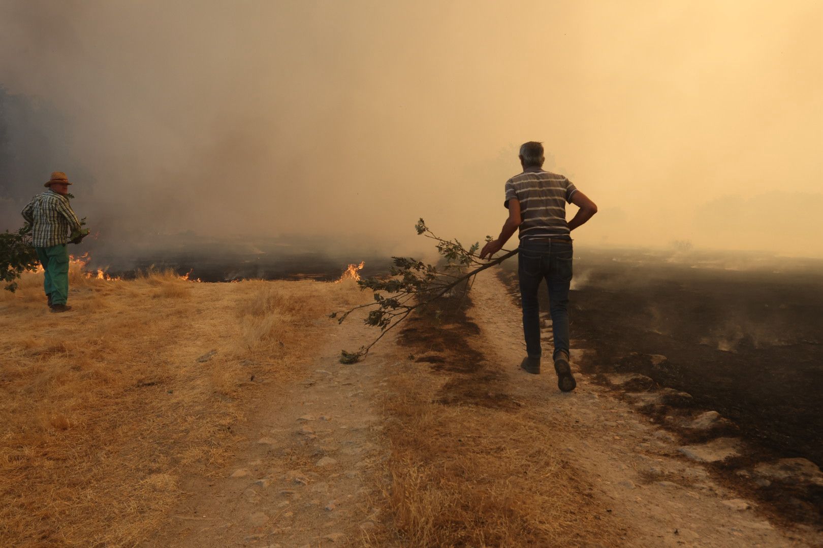 El incendio de Cipérez, en imágenes